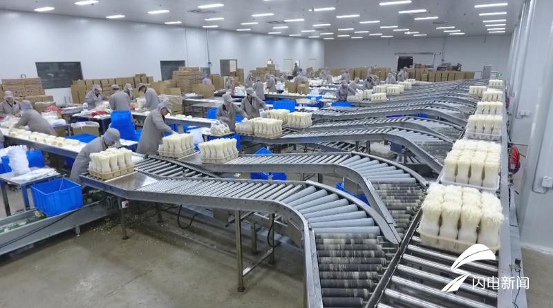 科技扶貧新起點，鄉村振興新篇章——2019年山東農業科技服務(扶貧)月啟動儀式在鄒城盛大舉行